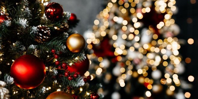 درخت کریسمس نماد چیست ؟