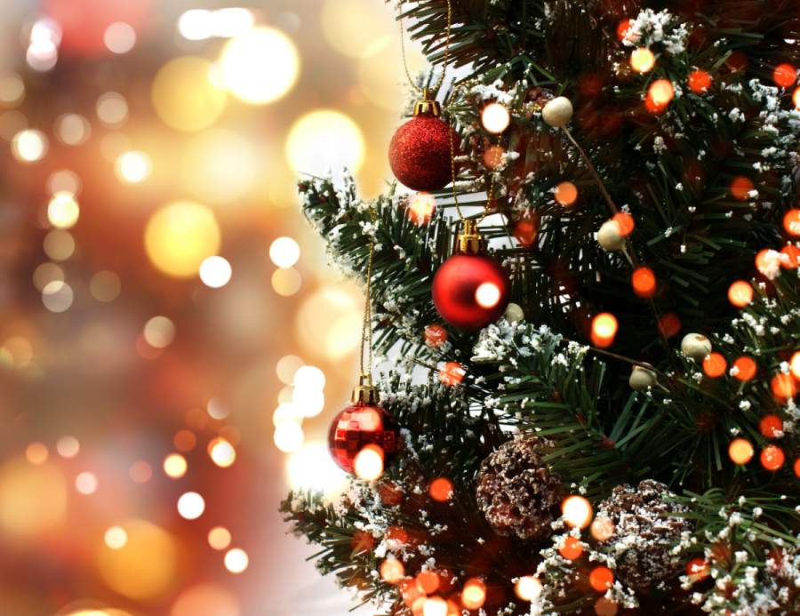 درخت کریسمس نماد چیست ؟