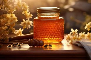  درمان خروپف با عسل