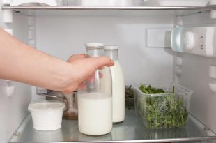  بهترین روش نگهداری شیر گاو