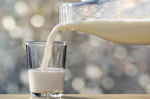 آیا می‌توان شیر را در فریزر نگهداری کرد؟