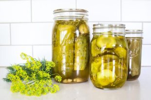 نسبت آب و سرکه و نمک در خیارشور