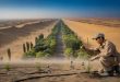بیابان تکله‌مکان چین چگونه به اسفنج جذب CO2 تبدیل شد؟